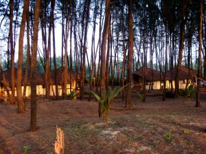 MTDC Resort Tarkarli 09
