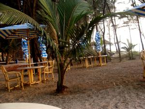 MTDC Resort Tarkarli 11
